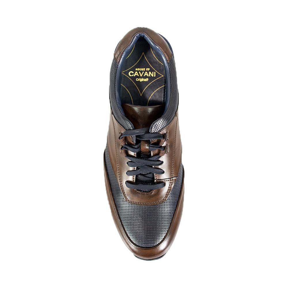 Cavani Portland Shoes in Navy/Brown