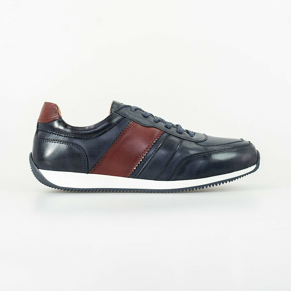 HOUSE OF CAVANI FRASER TRAINERS
