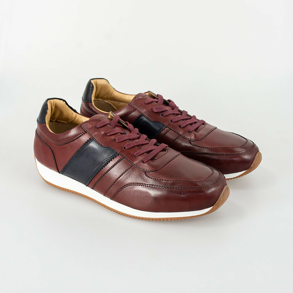 HOUSE OF CAVANI FRASER TRAINERS